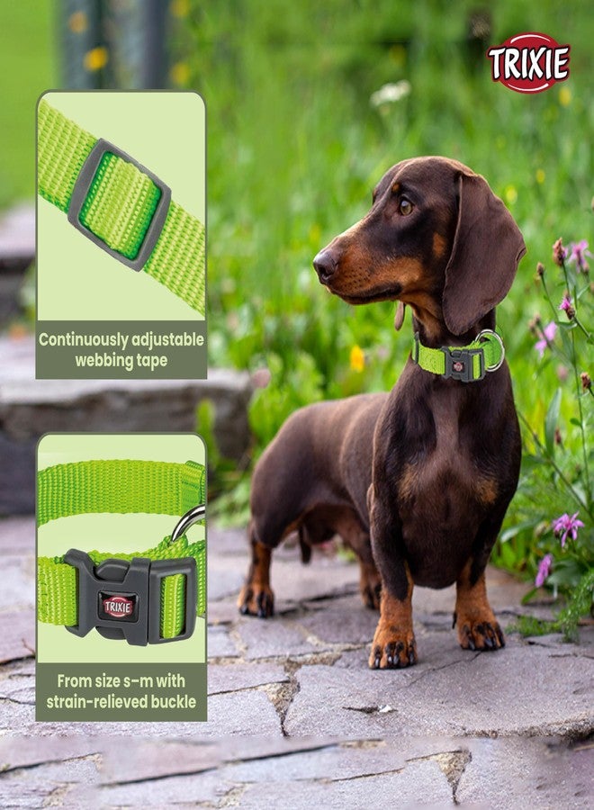 Trixie Premium Dog Collar Belt, Stylish Design, Adjustable Webbing Tape, Strain Relief, with Leash Connector, Neck Collar for Dogs, 30-45 cm (S-M, Apple) - Image 2